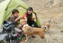 camping di lembang