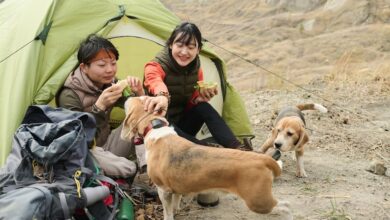camping di lembang