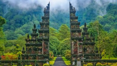 Kendaraan Rombongan Bali